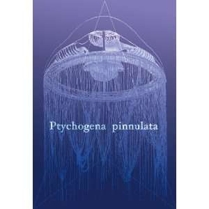  Jellyfish Ptychogena Pinnulata 12x18 Giclee on canvas 