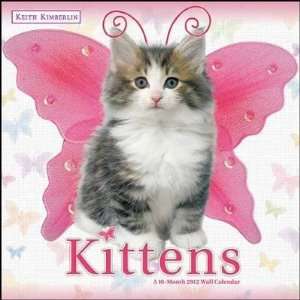 Keith Kimberlin Kittens 2012 Wall Calendar