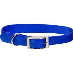   Buckle Nylon Personalized Dog Collar in Blue, 1 Width