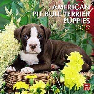  2012 Pit Bull Terrier Puppies Calendar