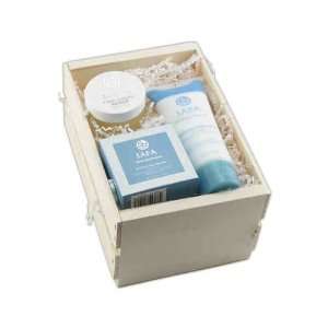 Skin renewal kit with Dead Sea products includes exfoliating bar, mud 