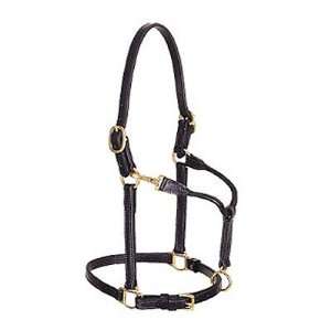  3/4 Double Buckle Crown Leather Halter Black