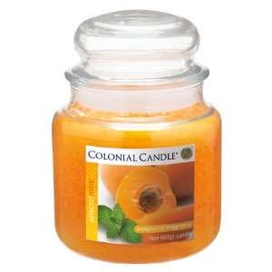  Pack of 4 Apricot Mint Aromatic Jar Candles 15oz