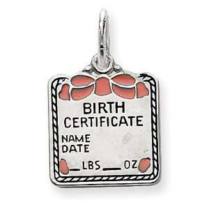  Sterling Silver Pink Birth Certificate Charm Jewelry