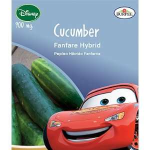 Disney Cars, Cucumber, Fanfare Hybrid 1 Pkt.  Kitchen 