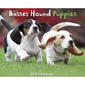  Basset Hound Puppies 2012 Wall Calendar