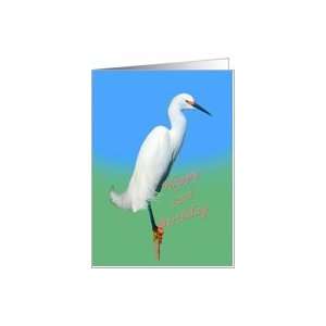  Birthday, 51st, Snowy Egret Bird Card Toys & Games