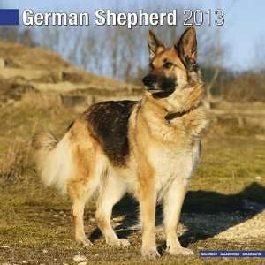    German Shepherd 2013 Wall Calendar 12 X 12