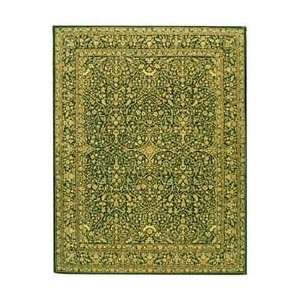   Persian Court PC162B Assorted Traditional 4 x 6 Area Rug Home