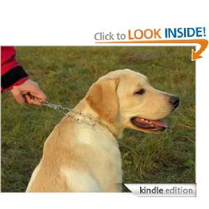 Days to a Housetrained Dog The Sherburnes  Kindle Store