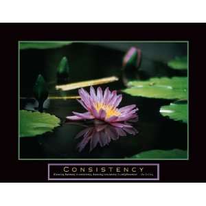  Consistency Pond Flower Motivational Landscapes Poster 