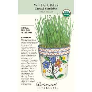  Liquid Sunshine Organic Wheatgrass Seeds   Large Packet 