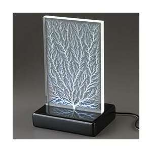  Lichtenberg Figures   Vertical Dendritic Toys & Games