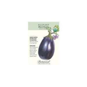  Botanical Interest   Eggplant Black Beauty (Certified 