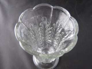 Brody Clear Glass Flower Vase Scalloped Edge Flower  