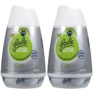 Glade Solid Air Freshener, Fresh Scent, 6 oz 2 ct (Quantity of 5)