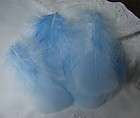30 SOFT BABY BLUE HAND SELECTED TURKEY FEATHERS 3 5