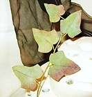   Millinery Flower Ivy Leaves Sage Prpl Velvet 1950s Hat Trim Supplies