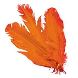  Pams Craft Feathers  Indian Feathers 10 Pack Of 5 Orange 