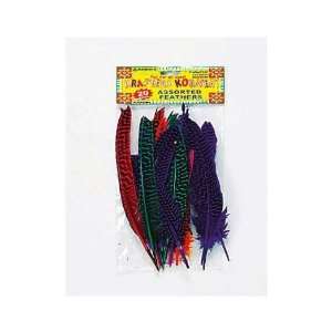    Bulk Buys CC273 20Pk Craft Feathers   Pack Of 96 Toys & Games
