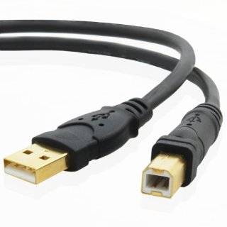 Mediabridge   Hi Speed USB 2.0 Cable (6 Feet)