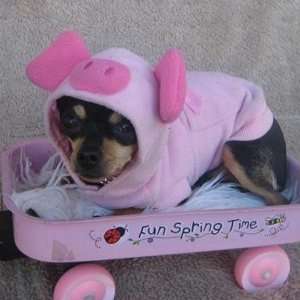  Pink Pig Halloween Dog Costume at THE REGAL DOG   Size XS 