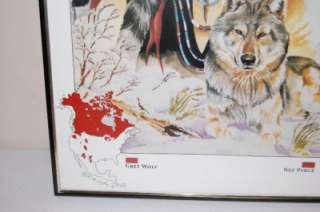 Native American Indian Grey Wolf Framed Print by R. A. Layton c. 1991