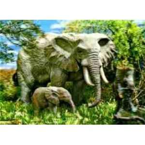  3D Lenticular POSTCARD ELEPHANTS