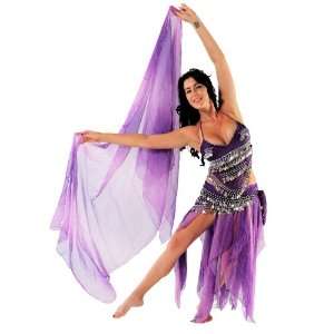 Belly Dance Skirt Top Veil & Hip Scarf Costume Set  Velocity in Voom