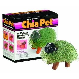  Chia Pet/Head Handmade Decorative Planter (Assorted Styles 