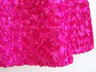NEW Girls RASPBERRY ROSES Size 16 Spring Easter Pink Dress Clothes 