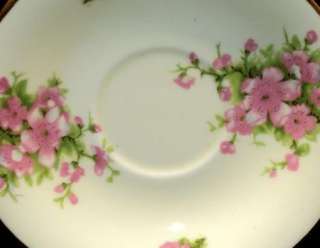 SUTHERLAND PEACH BLOSSOM simplytclub cup and saucer ROPE HANDLE  