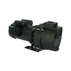 Dayton 5RWG5 Pump, Sprinkler, 3/4 HP, 1 Ph  Industrial 