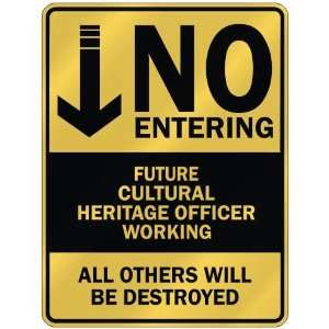   NO ENTERING FUTURE CULTURAL HERITAGE OFFICER WORKING 