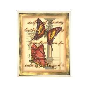  Transitional Butterfly II Poster Print