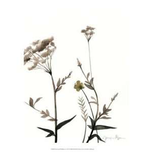  Watermark Wildflowers I by Jennifer Goldberger 13x16