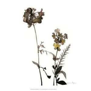  Watermark Wildflowers V by Jennifer Goldberger 13x16