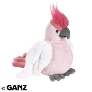  Webkinz Pink Cockatoo with Trading Cards Toys & Games