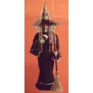 Animated Talking Cottage Coven Witch With Broom