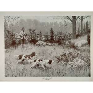  1914 A. B. Frost Hunter Gun Dogs Springer Spaniel Print 
