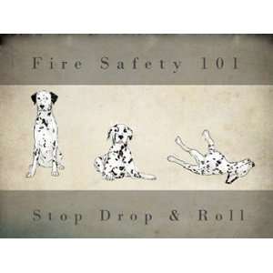  Stop, Drop and Roll Poster (24.00 x 18.00)