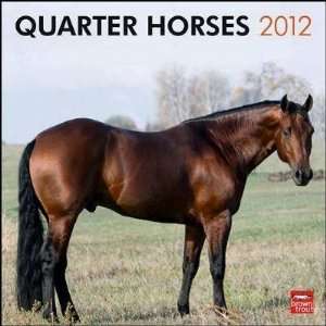  Quarter Horses 2012 Wall Calendar 12 X 12 Office 