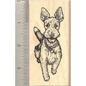  Wire Haired Fox Terrier Rubber Stamp Arts, Crafts 