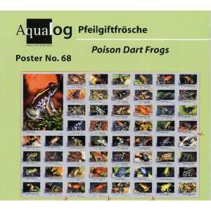    Aqualog Poison Arrow/dart Frogs Fold Poster