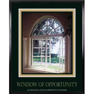  Vertiflex Window of Opportunity Framed Art