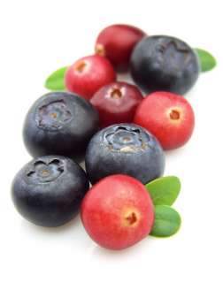 Cranberry Blueberry Antioxidant Oxygen Therapy Scub  
