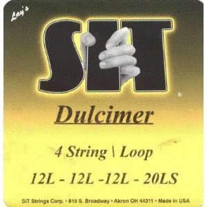   Dulcimer 4 String Loop End, .012   .020, DLC1220 Musical Instruments