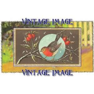   (14 x 10 cm) Gloss Stickers Bird Robin Vintage Image