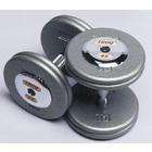 Troy Barbell HFD 055 100C Pro Style Dumbbell Set With Chrome End Caps 