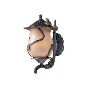  Triarch 75132 12 4 Light Froggie Outdoor Sconce, Weathered 